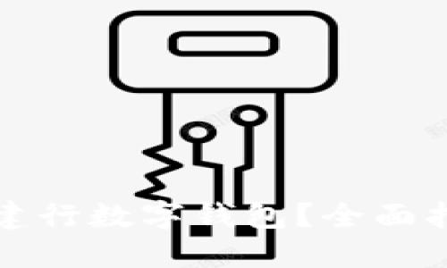 如何高效使用建行数字钱包？全面指南与技巧分享