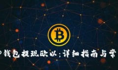 如何使用TP钱包提现欧以：详细指南与常见问题解