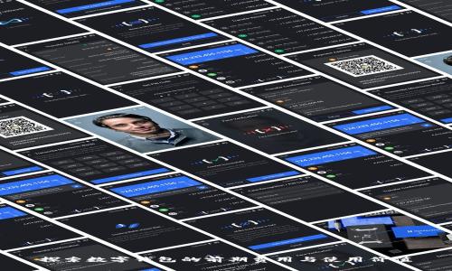 探索数字钱包的前期费用与使用价值