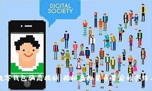 国际数字钱包骗局揭秘：揭秘虚拟货币背后的套路与风险