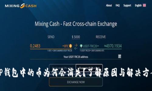 TP钱包中的币为何会消失？了解原因与解决方案