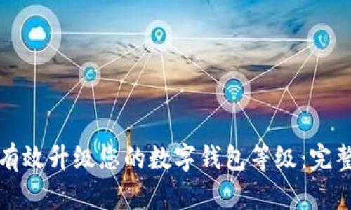 如何有效升级您的数字钱包等级：完整指南