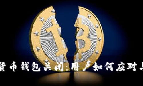 邮政数字货币钱包关闭：用户如何应对与未来解析